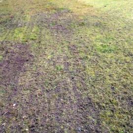 Herse de prairie tractable - 2,44m