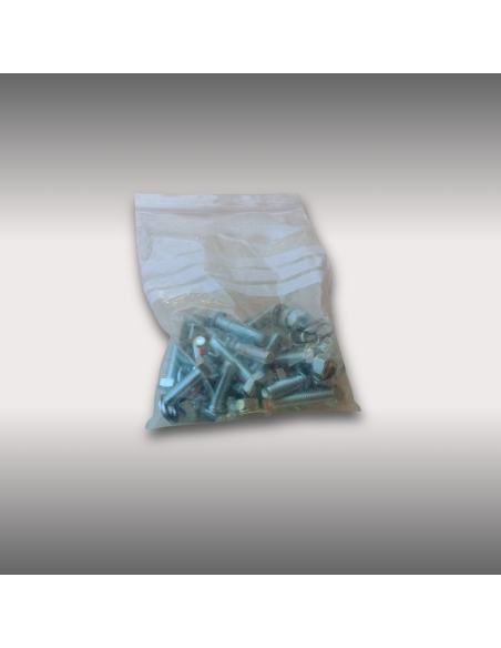 KIT VIS M10X45 DENTS ROGNEUSE BSF-13