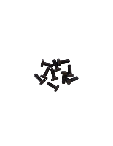 Kit 10 vis Fixation Couteau Broyeurs GTS-1500E / GTS-2000PRO / GTS-3000