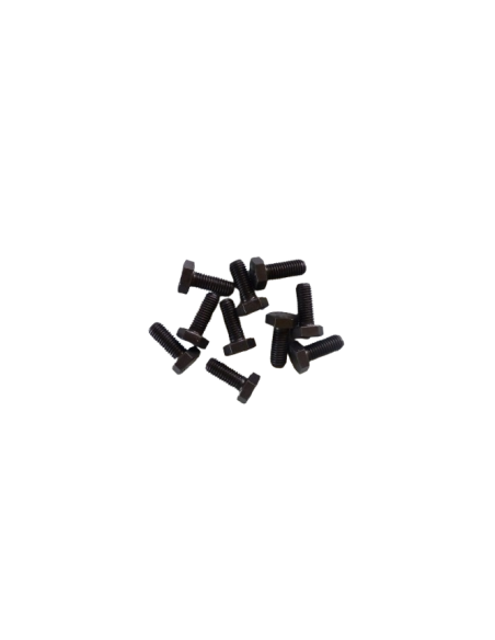Kit 10 vis Fixation Couteau Broyeurs GTS-1500E / GTS-2000PRO / GTS-3000